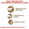 Pet Food - Royal Canin Fhn Ageing 12+