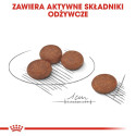 Dog Food - Royal Canin Ccn Mini 3kg