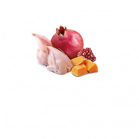Grain-free Dog Food - Farmina N&d Pumpkin, Orange