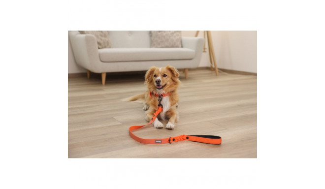 Dog Collar - KERBL Puno Reflective Medium Breed 46-55 cm Orange