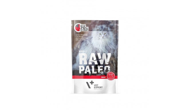 Wet Cat Food - RAW PALEO Beef Monoprotein 100g