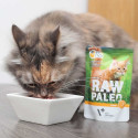 Wet Cat Food - RAW PALEO Turkey 100g Grain-Free Monoprotein