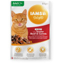 Cat Food - Iams Delights Adult Beef With Carrot In Jelly, 85g