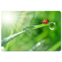 Mouse Pad - Esperanza Ea133 Multicolor