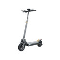 Electric Scooter - Ruptor R1 v2 500W 80km Range Black