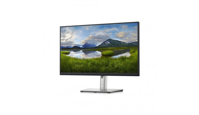 Computer Monitor - Dell P2423d