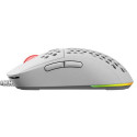 Savio HEX-R mouse Gaming Right-hand USB Type-A Optical 12000 DPI