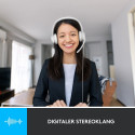 "Logitech Headset H390"