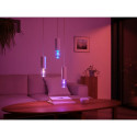 "Philips Hue White & Color Ambiance Lightguide Giant Edison ST72 E27"