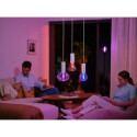 "Philips Hue White & Color Ambiance Lightguide Giant Globe G125 E27"