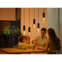 "Philips Hue White & Color Ambiance Lightguide Giant Globe G125 E27"