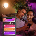 "Philips Hue White & Color Ambiance Daylo Wandleuchte Silber 1050lm"