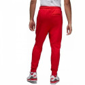 Jordan Essentials Fleece Pants M CV8347-657 (XXL)