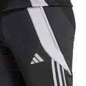 Adidas Tiro 24 WInterized M pants IM9974 (M)