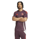 Adidas FC Bayern Training JSY M IS9935 T-shirt (M)