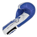 Boxing gloves Masters Rbt-PZKB-W 011101-02W (niebieski)