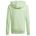 Adidas Big Logo Hoodie Jr IS2591 sweatshirt (140 cm)