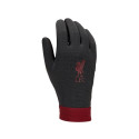 Nike Liverpool FC Thermafit HO23 FJ4857-010 gloves (L)