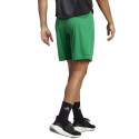 Adidas ENTRADA 22 Short M IC7405 shorts (L)