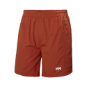 Helly Hansen Calshot Trunk M 55693 308 swimming shorts (S)