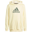Adidas Badge of Sport Hoodie Jr HN8469 (164 cm)