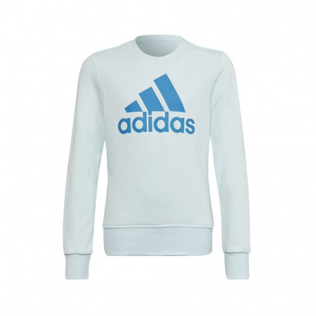 Adidas Big Logo Swt Jr HM8707 sweatshirt (170 cm)