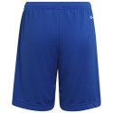 Adidas Entrada 22 Short Y Jr HG6291 (164 cm)