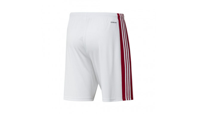 Adidas Squadra 21 Short M GN5770 (L)