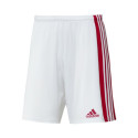 Adidas Squadra 21 Short M GN5770 (L)