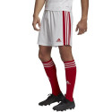 Adidas Squadra 21 Short M GN5770 (L)