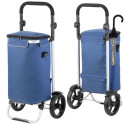Allround Cruiser 650065 shopping trolley