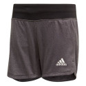 Adidas YG TR Chill SH Jr DV2799 shorts (170 cm)