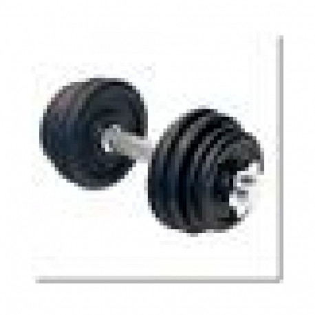 Threaded dumbbell HMS SG01 7 kg