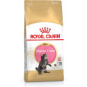 Dry Cat Food - Royal Canin Maine Coon Kitten 4 Kg