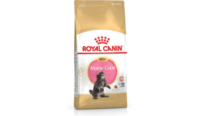 Dry Cat Food - Royal Canin Maine Coon Kitten 4 Kg