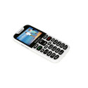 Evolveo EasyPhone EP-600-XDW mobile phone 5.84 cm (2.3&quot;) 89 g White Senior phone