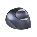 BakkerElkhuizen Evoluent D mouse Office Right-hand RF Wireless Laser 3200 DPI