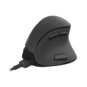 NATEC Euphonie mouse Office Right-hand Bluetooth Optical 2400 DPI