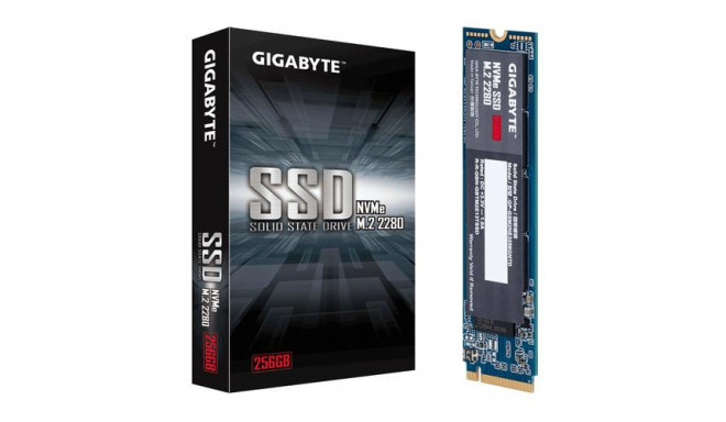 Gigabyte GP-GSM2NE3256GNTD internal solid state drive M.2 256 GB PCI Express 3.0 NVMe