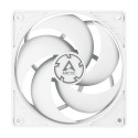 ARCTIC P12 PWM PST (White/White) Pressure-optimised 120 mm Fan with PWM PST