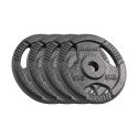 Cast iron weight set 4x5kg, bore 31mm, disc with handles, REBEL ACTIVE