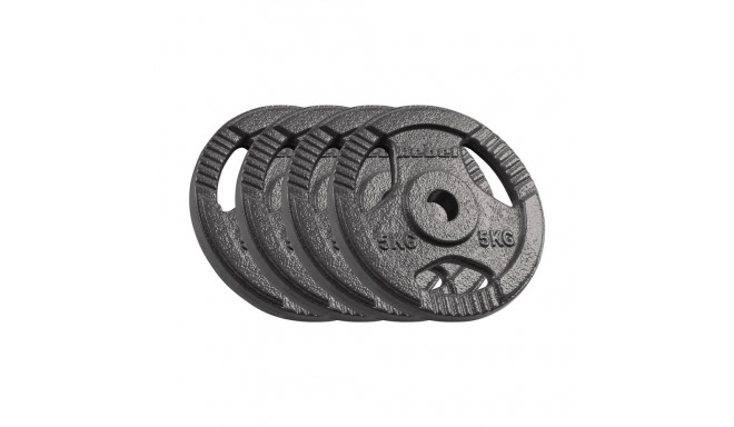 Cast iron weight set 4x5kg, bore 31mm, disc with handles, REBEL ACTIVE