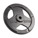 Cast iron weight 20kg, bore 31mm, disc with handles, REBEL ACTIVE