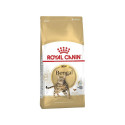 ROYAL CANIN FBN Bengal Adult - dry cat food - 10kg