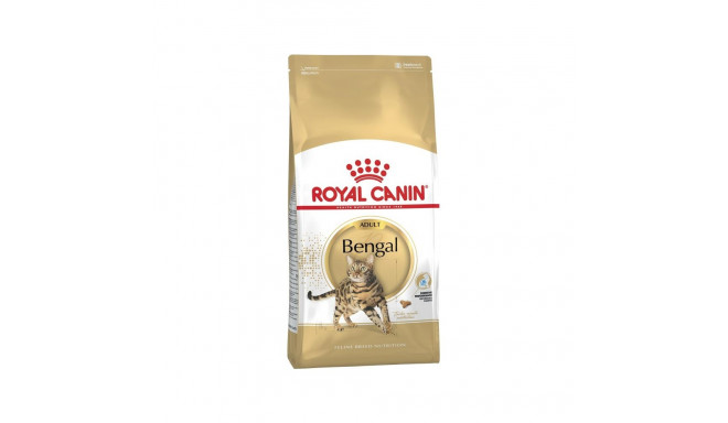 ROYAL CANIN FBN Bengal Adult - dry cat food - 10kg