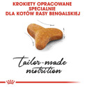 ROYAL CANIN FBN Bengali täiskasvanud kasside kuivtoit - 10kg