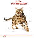 ROYAL CANIN FBN Bengal Adult - dry cat food - 10kg