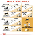 ROYAL CANIN FBN Bengal Adult - dry cat food - 10kg