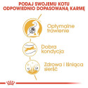 ROYAL CANIN FBN Bengal Adult - dry cat food - 10kg
