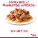 ROYAL CANIN Appetit Control pieces in sauce - wet cat food - 12 x 85g